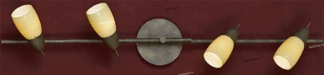 Настенно-потолочный светильник Lussole Cevedale LSQ-6919-04
