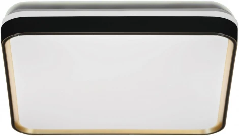 Потолочный светильник Lumina Deco Paneli LDC 8061-450 BK