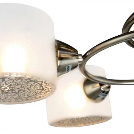 Потолочная люстра Максисвет Универсал 1-8794-6-ST E14