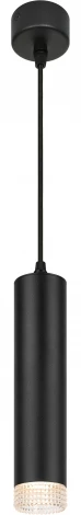 Подвесной светильник ЭРА PL18 BK/CL (220V, на проводе)