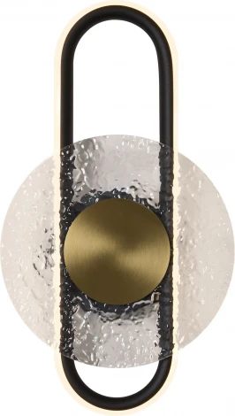 Настенный светильник Freya Drip FR6173WL-L12B (LED, 220V)