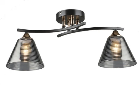 Потолочная люстра Wedo Light Dorika WD3636/2C-CF-FGD-SMK