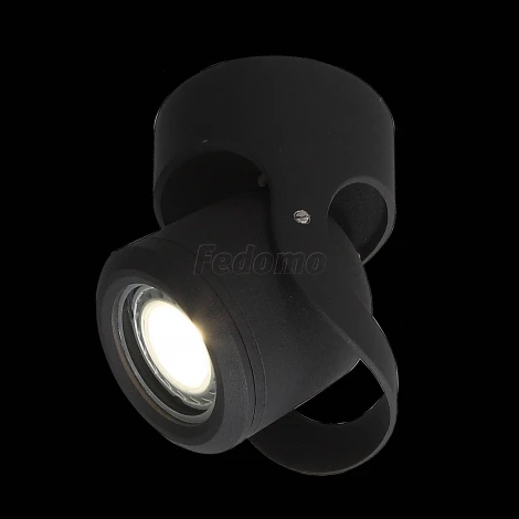 Архитектурная подсветка ST Luce Round SL093.401.01 (220V, IP54)