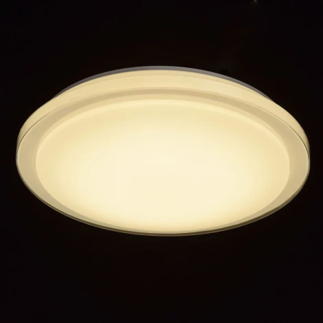 Потолочный светильник MW-Light Ривз 674012701