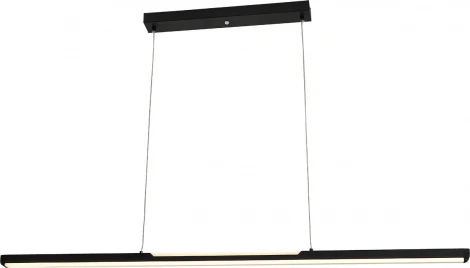 Подвесной светодиодный светильник Escada Projection 604/S LED 48Вт, с ПДУ, металл/акрил, черный (регулировка яркости, 220V, на тросе)