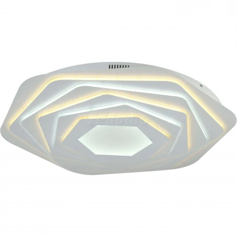 Потолочный светильник F-Promo Ledolution 2289-8C