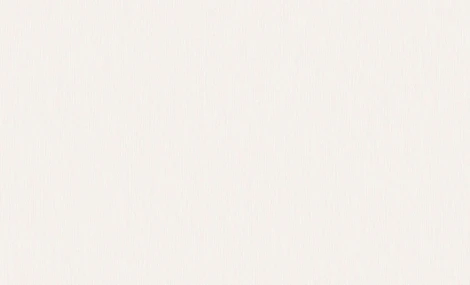 Обои виниловые Erismann Paradise 6 60110-02 10,05 x 1,06 м