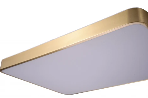 Потолочный светильник Zortes Monna ZRS.1209.09 (LED, 220V)