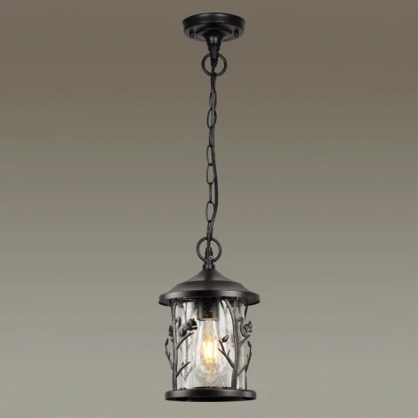 Уличный светильник подвесной Odeon Light Cuita 4963/1