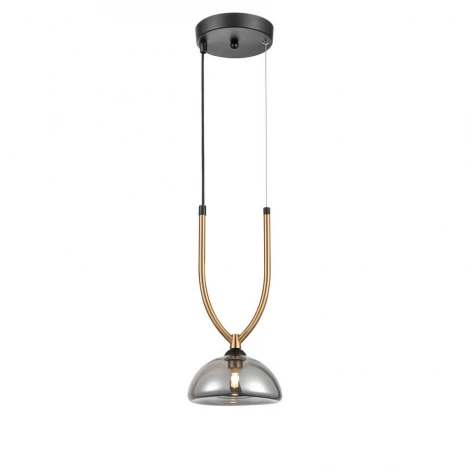 Подвесной светильник Vele Luce Cloe VL5434P01