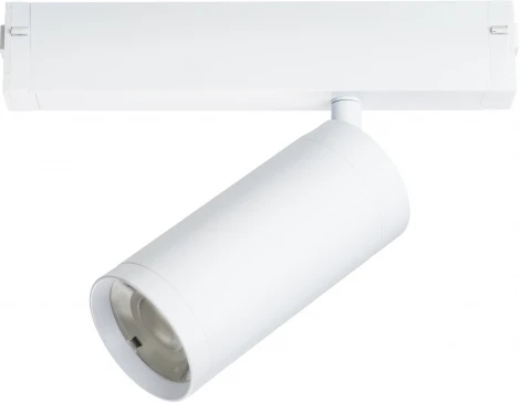 Трековый Wi-Fi светильник однофазный диммируемый Lightstar Teta 205036 (LED, 220V, пульт управления, управление смартфоном, умный дом - Tuya Smart, Smart Life, круглые)