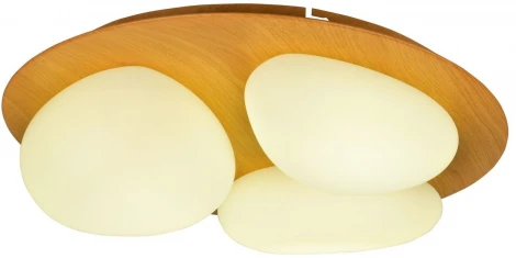 Потолочный светильник круглый Мелодия Света SS1L 000024980