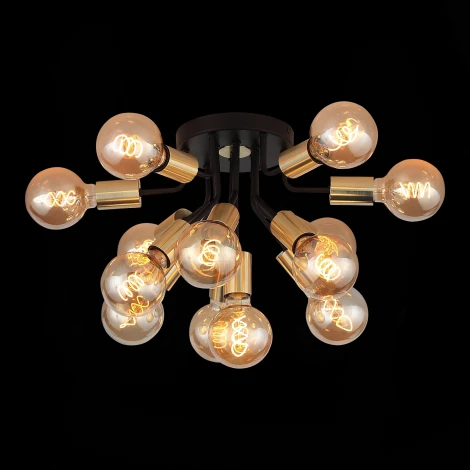 Потолочная люстра ST Luce Foglione SL437.402.13