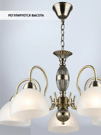 Подвесная люстра Wedo Light Duki WD3639/5H-AB-WT