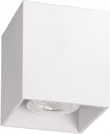 Накладной точечный светильник Lucide Bodi 09101/01/31 (220V)