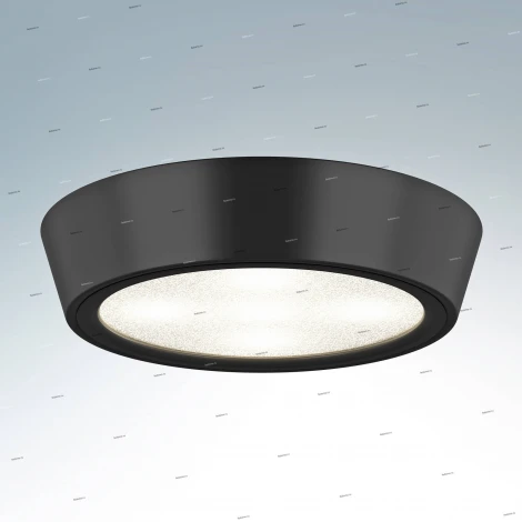 Потолочный светильник круглый Lightstar Urbano Mini 214772 (LED, 220V, IP65)