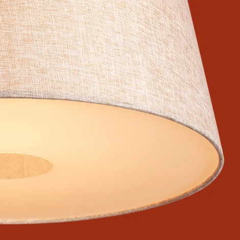 Подвесной светильник Freya Butler FR2057PL-01BG