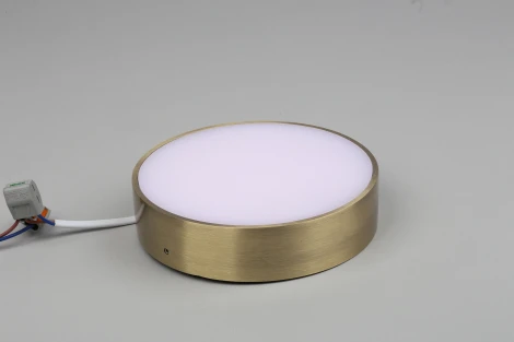 Потолочный светильник круглый Aployt Evon APL.0114.29.18 (LED, 220V, круглые)