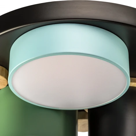 Потолочный светодиодный светильник Ritter Scandia 52074 0