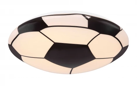 Потолочный светильник Globo Lemmi 54009D1