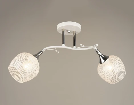 Потолочная люстра на штанге Мелодия Света SS1N P5533-2 WT 000029950