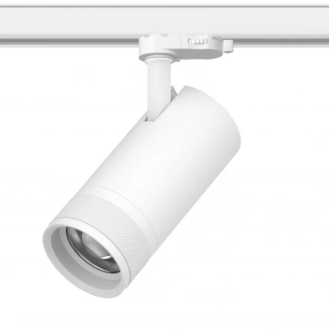 Трековый светильник трехфазный светодиодный 30W 220V 2100LM 20-55G с адаптером Lightstar Canno Pro C4306QT