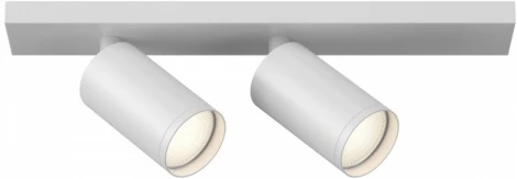 Потолочный светильник FOCUS S GU10 2x10Вт Maytoni Technical C051CL-U-2W (220V, круглые)