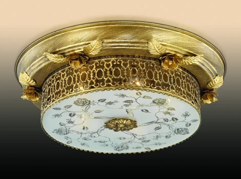 Потолочный светильник Odeon Light Capua 2642/5C