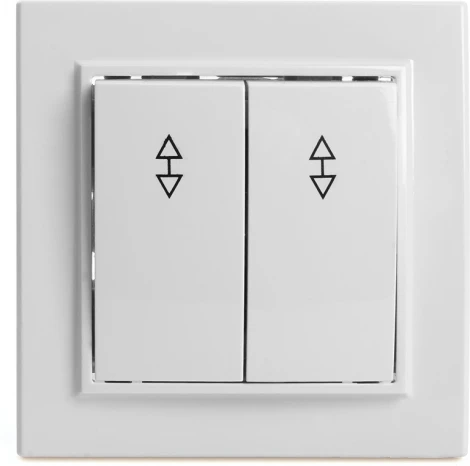 Переключатель двухклавишный (белый) Stekker Эрна 39919