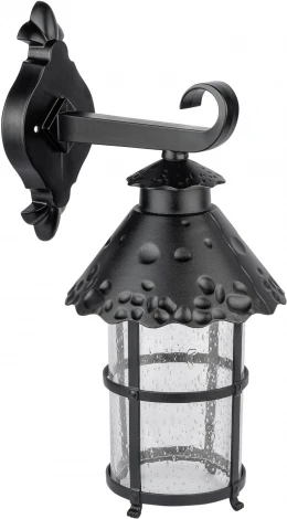 Настенный фонарь уличный IP44 Oasis Light CAIOR 1 81502 Bl (220V, фонарь)