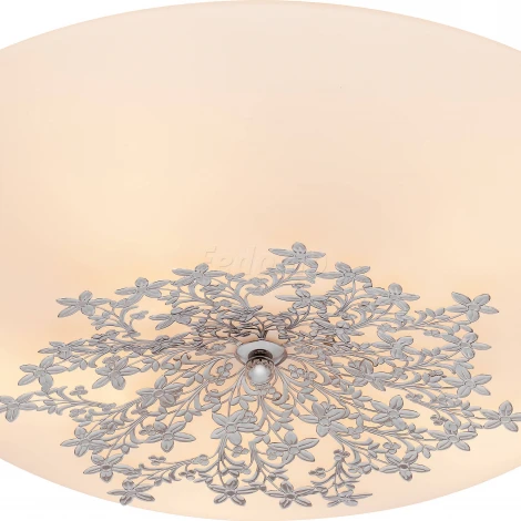 Настенно-потолочный светильник Silver Light Verbena 836.50.5