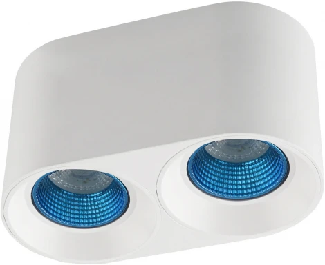 Накладной точечный светильник Denkirs DK3096-WH+CY