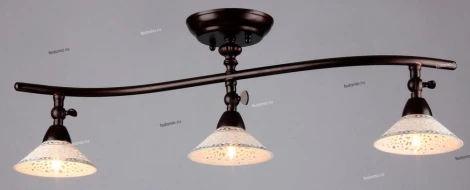 Спот Maytoni Spot 2 ECO002-03-R