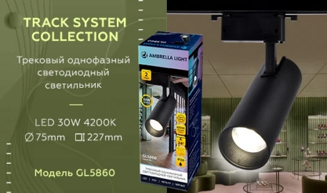 Трековый светильник Ambrella GL GL5860 (LED, 220V, круглые)