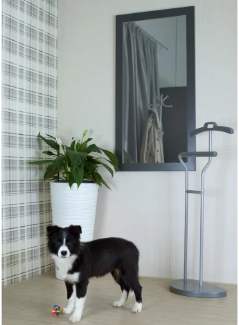 Зеркало настенное BeautyStyle 11 серый графит 118 см х 60,6 см от фабрики Mebelik