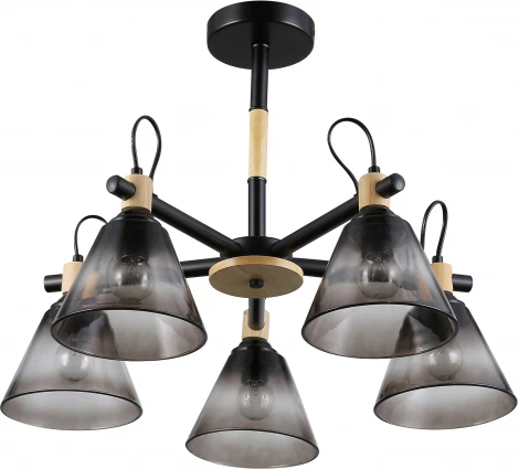 Люстра потолочная на штанге Elmira 9117-305 5 * Е27 40 Вт