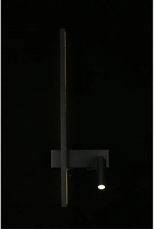 Настенный светильник с выключателем LED со спотом Aployt Reymand APL.342.01.13 (220V)