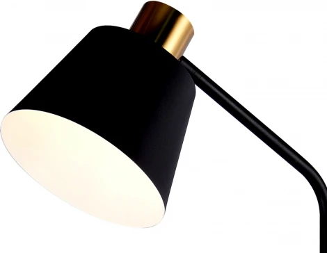 Торшер Kink Light Арни 07043A,19 (220V, выключатель)