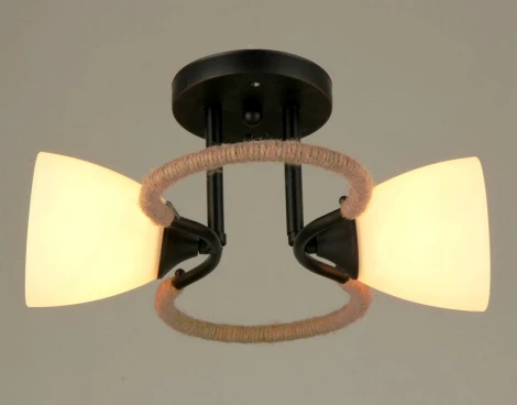 Потолочная люстра на штанге Мелодия Света SS1N 000022234