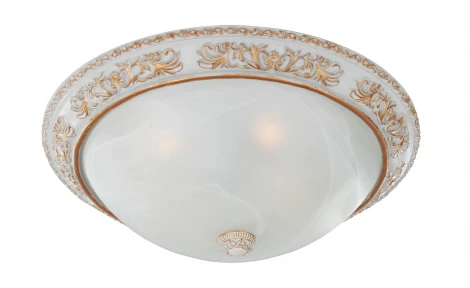 Потолочный светильник Favourite Plafond 1446-4C