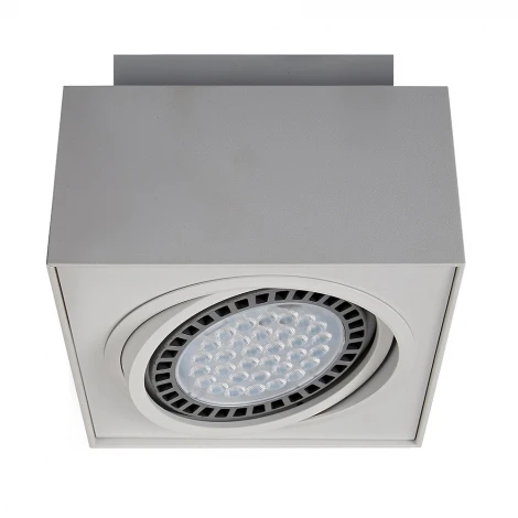 Накладной точечный светильник Zumaline Boxy Cl 1 20074-WH