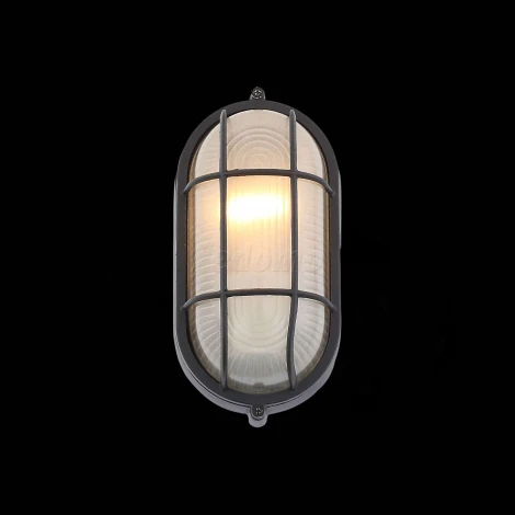 Настенный светильник уличный ST Luce Vecchio SL075.411.01