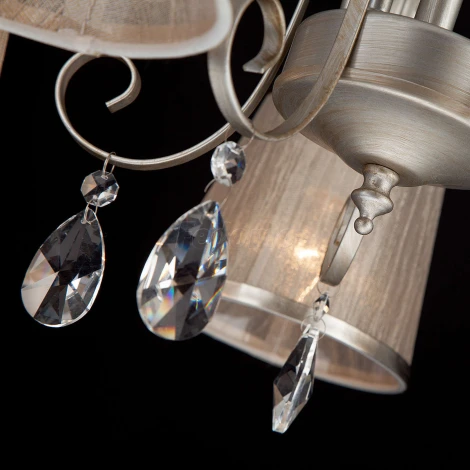 Потолочная люстра Eurosvet Liona 60065/5 серебро (220V, хрусталь Strotskis)