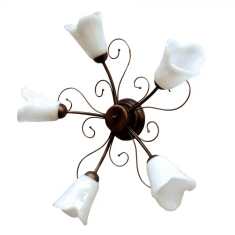 Потолочная люстра MW-Light Аида 323011205