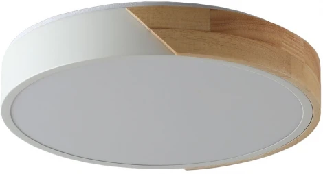 Потолочный светильник круглый Zortes Alberro ZRS.01289.24 (LED, 220V, круглые)