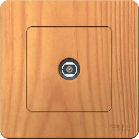 ТВ-розетка встраиваемая оконечная (ясень) Systeme Electric Blanca BLNTS000015