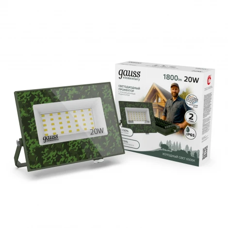 Прожектор уличный светодиодный Gauss GFD002