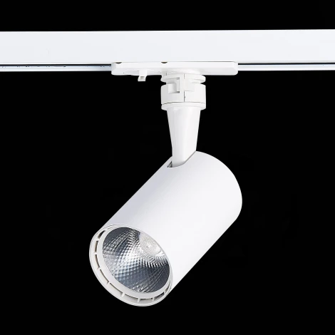 Трековый светильник ST Luce Cami ST351.536.10.36 (LED, 220V, круглые, IP22)