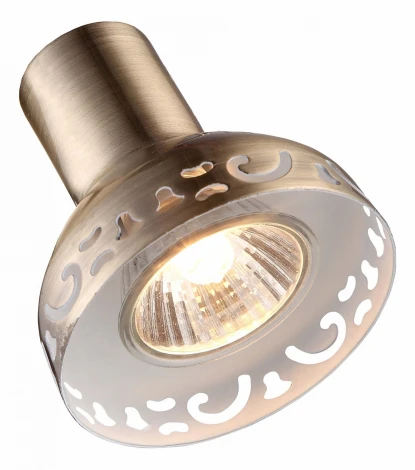 Спот на штанге Arte Lamp Focus A5219PL-3AB (220V, круглые)