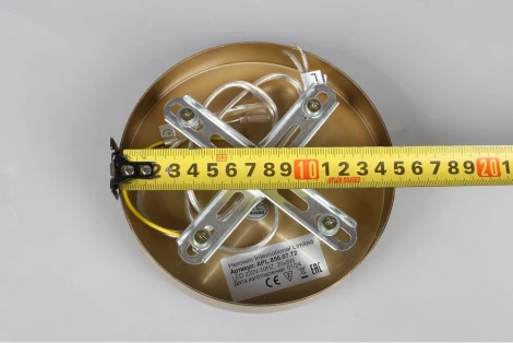 Потолочная люстра на штанге Aployt Solandzh APL.856.07.100 (LED, 220V, круглые)